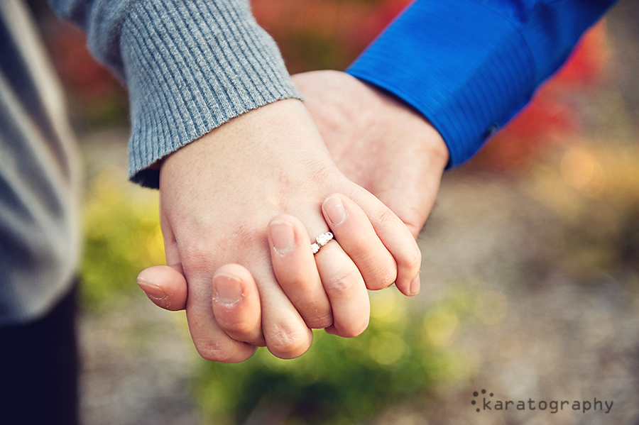 cantigny wheaton engagement pictures