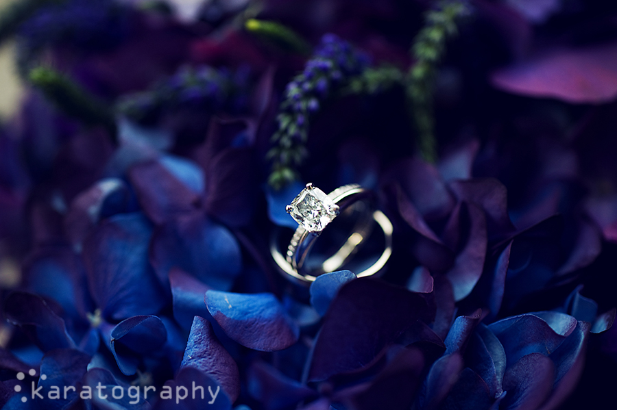 ring shot ring shot