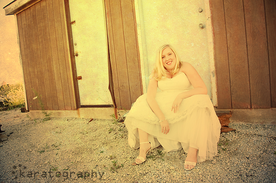 chicago trash the dress chicago trash the dress