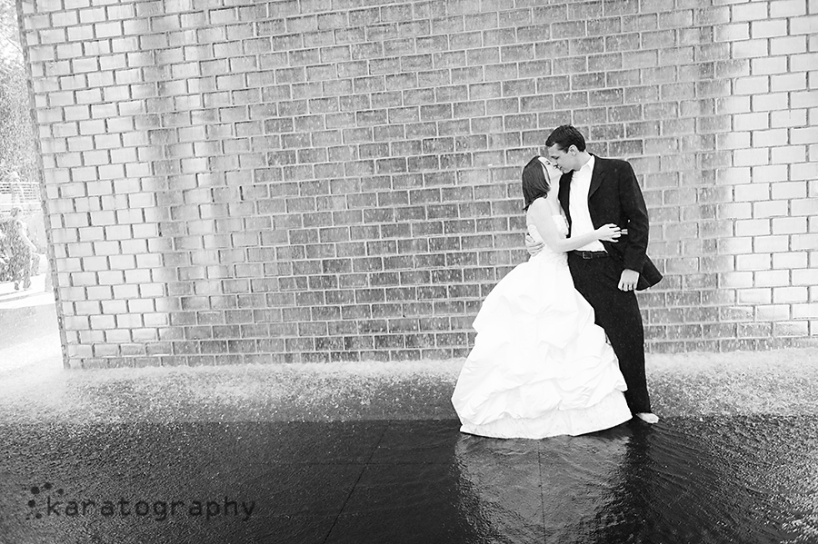 chicago millennium park wedding